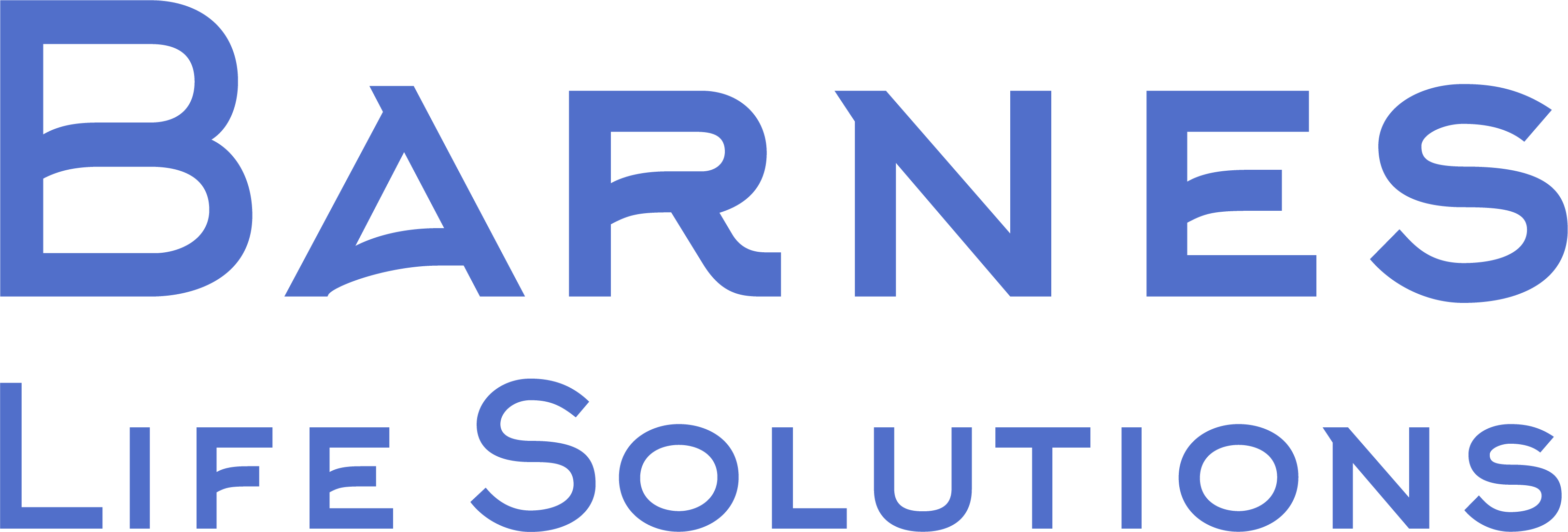 barnes-life-solutions