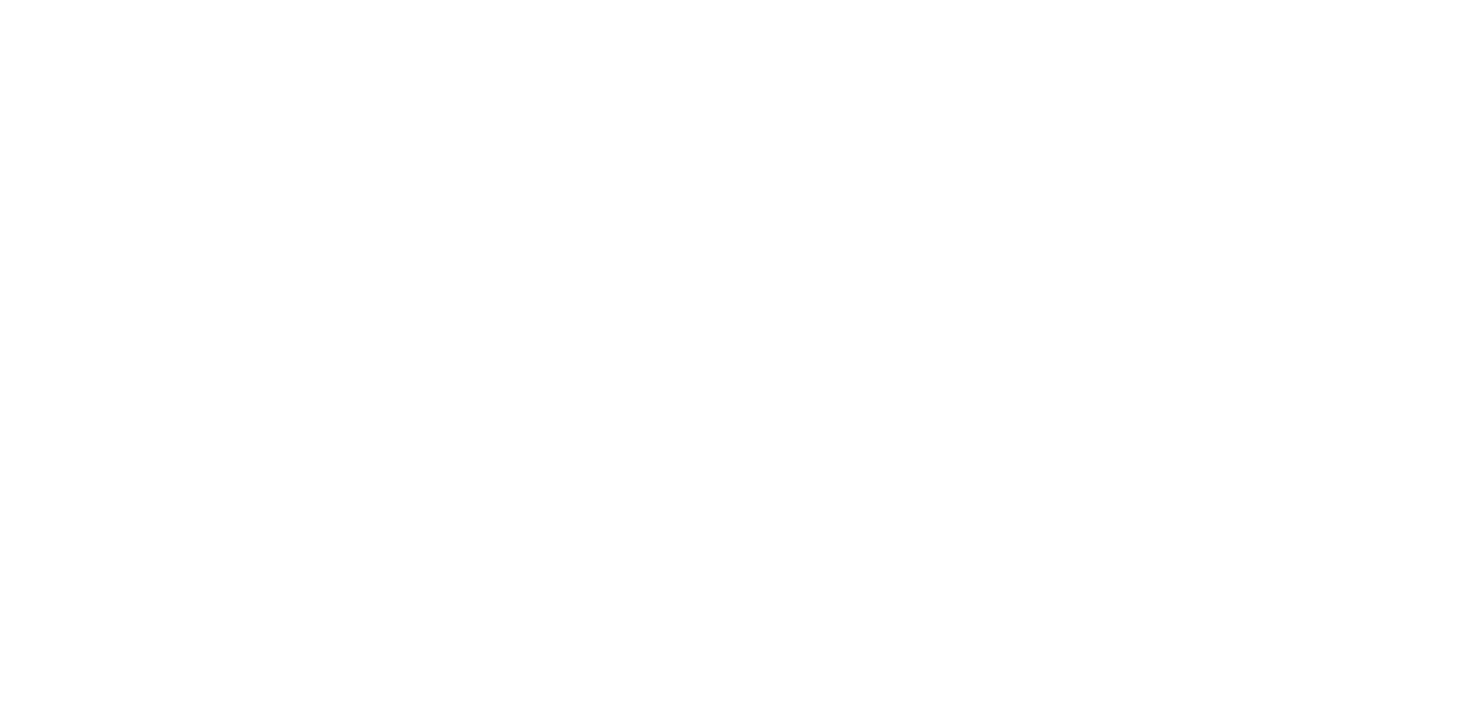 Vivid Minds Logo