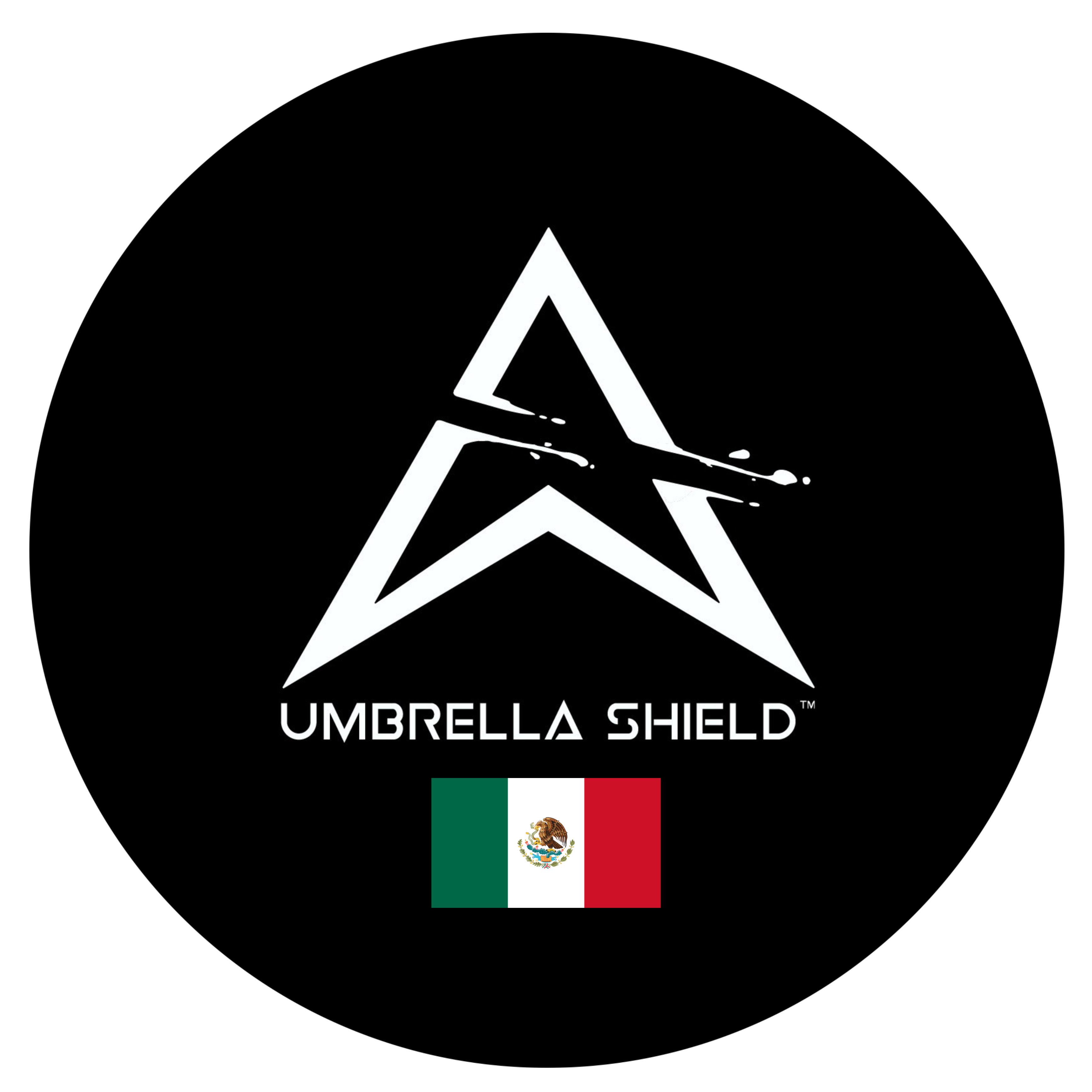 Diego Nandez business logo