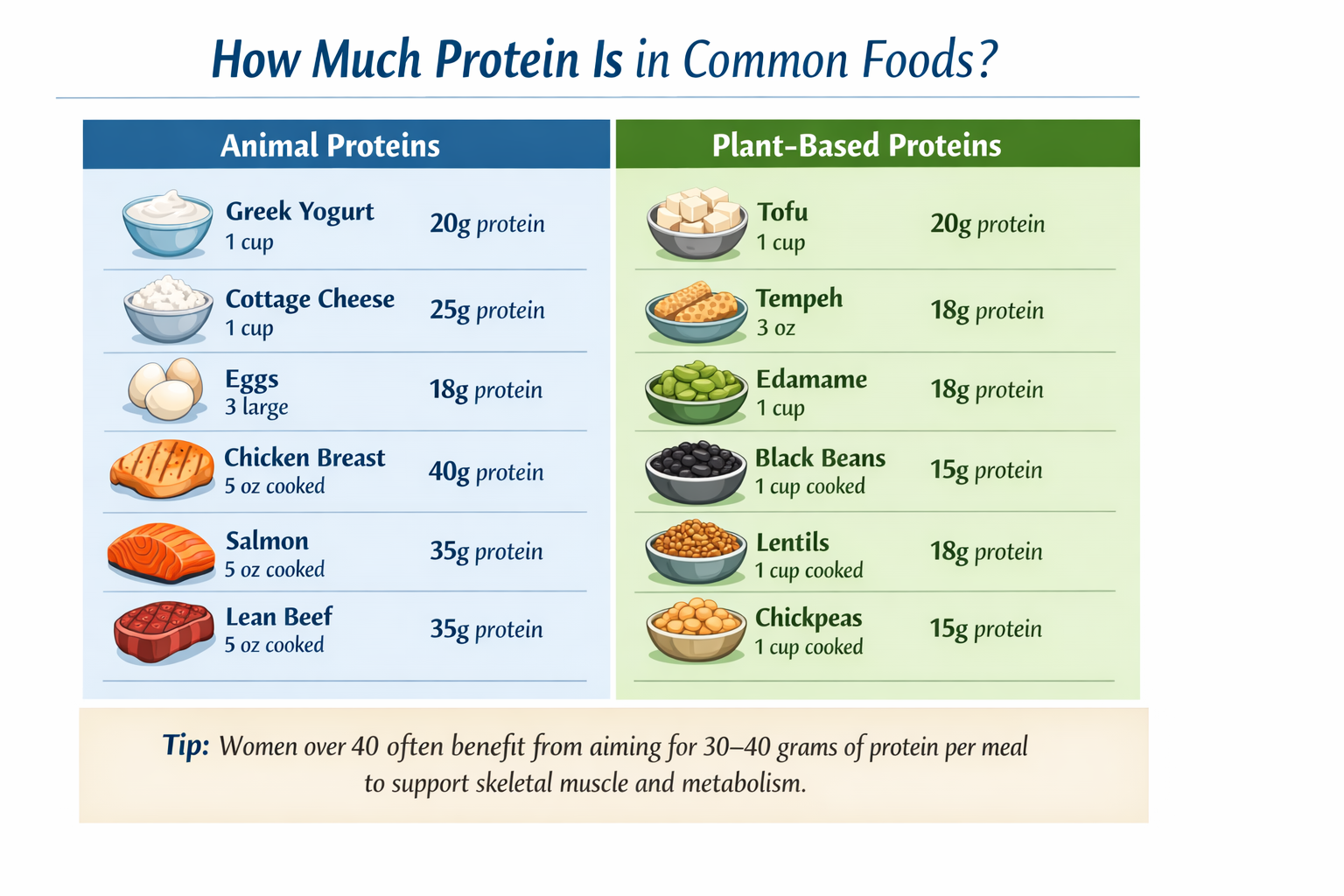 Protein chart showing common animal and plant-based foods with protein amounts to help women over 40 support skeletal muscle and metabolism