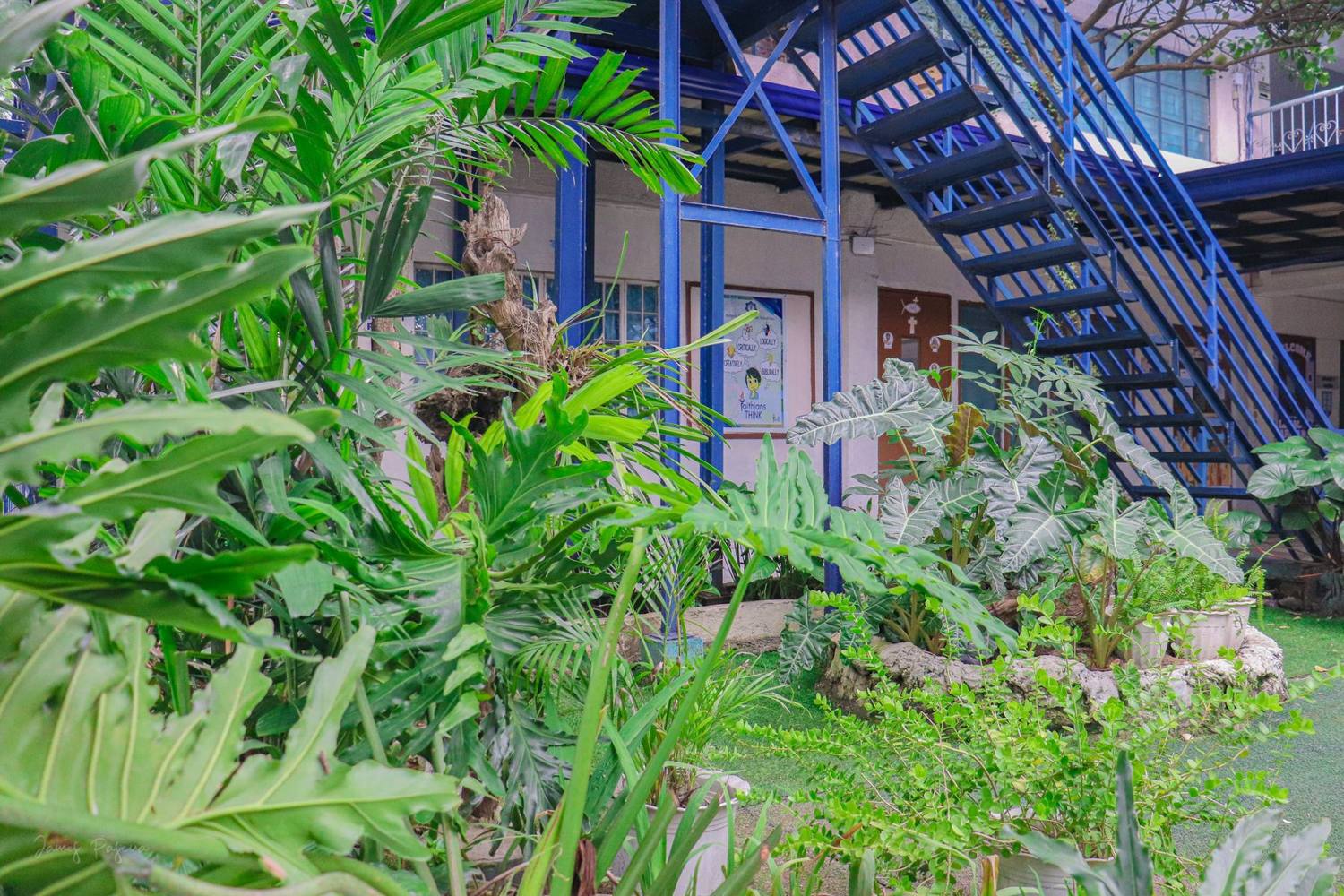 The school garden beside the blue stairs