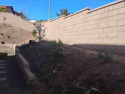 in Temecula, CA