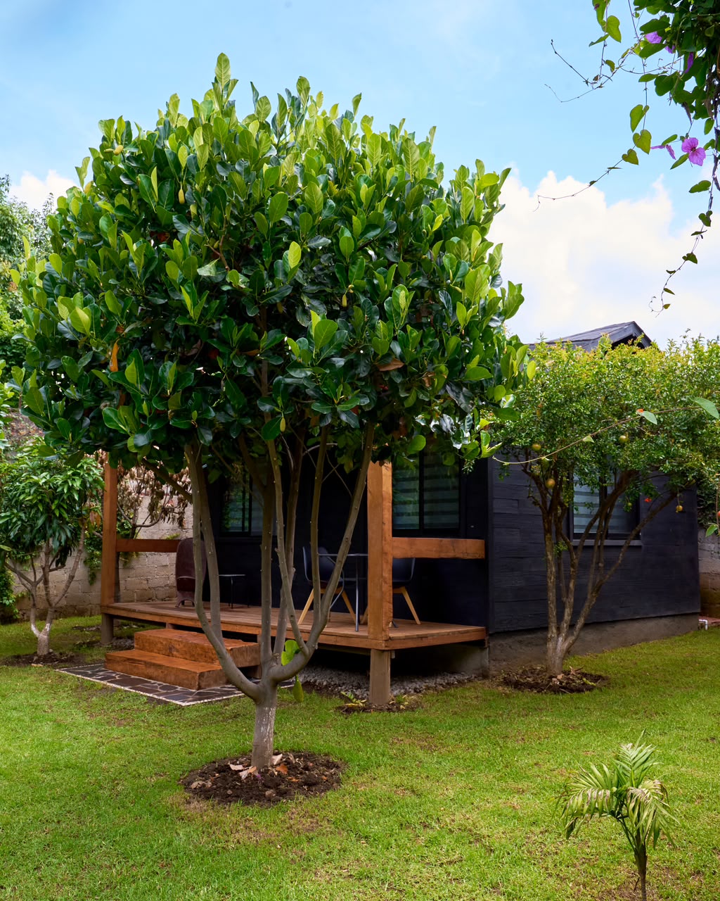 Espacio habitable construido con madera