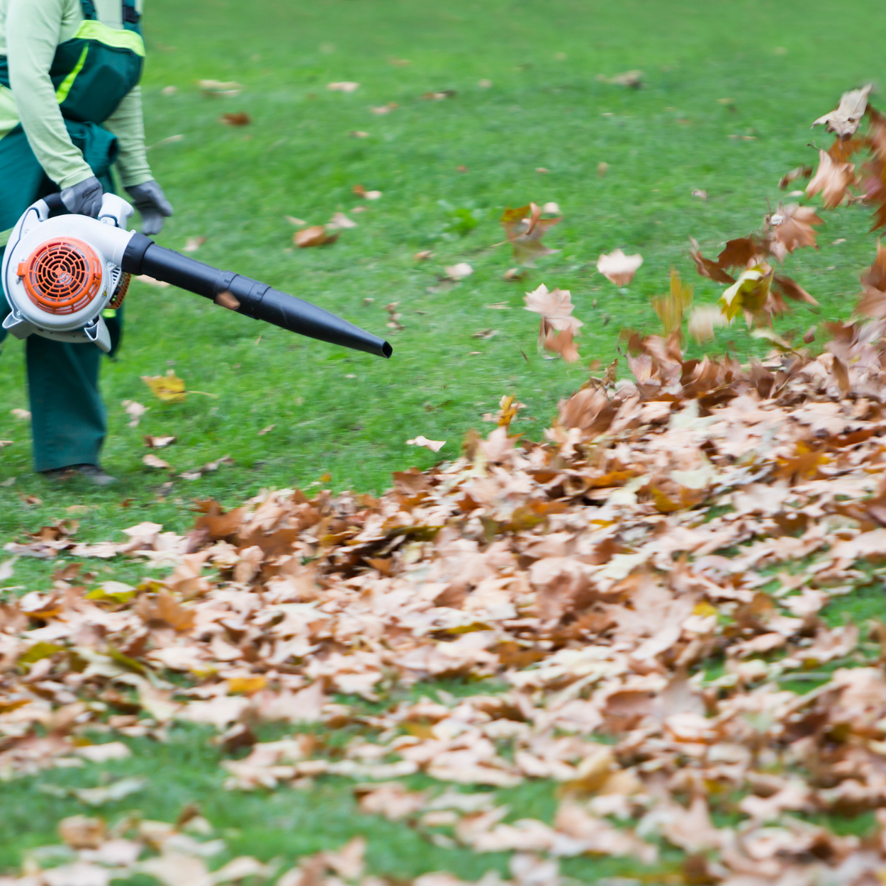 Fall Cleanup