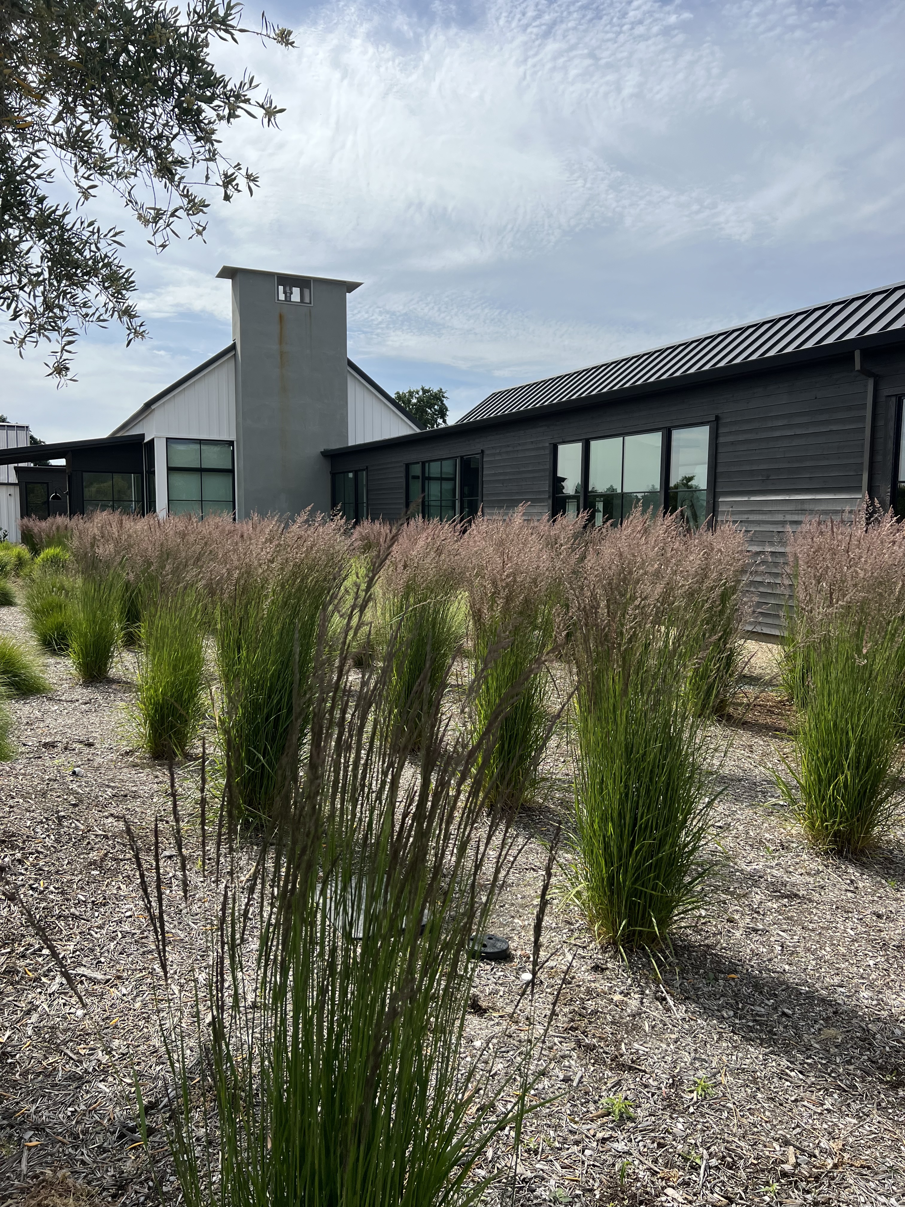 Drought-smart landscape redesign — Wine Country Landscaping