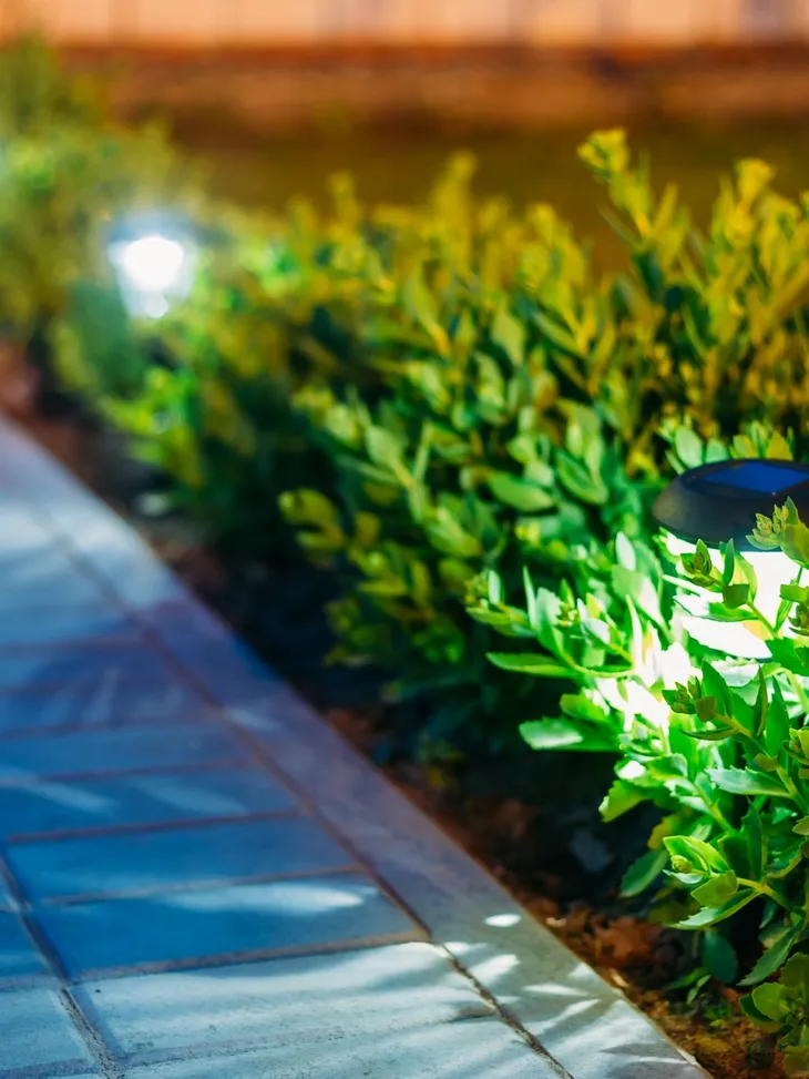 Landscape lighting design installation — Wine Country Landscaping