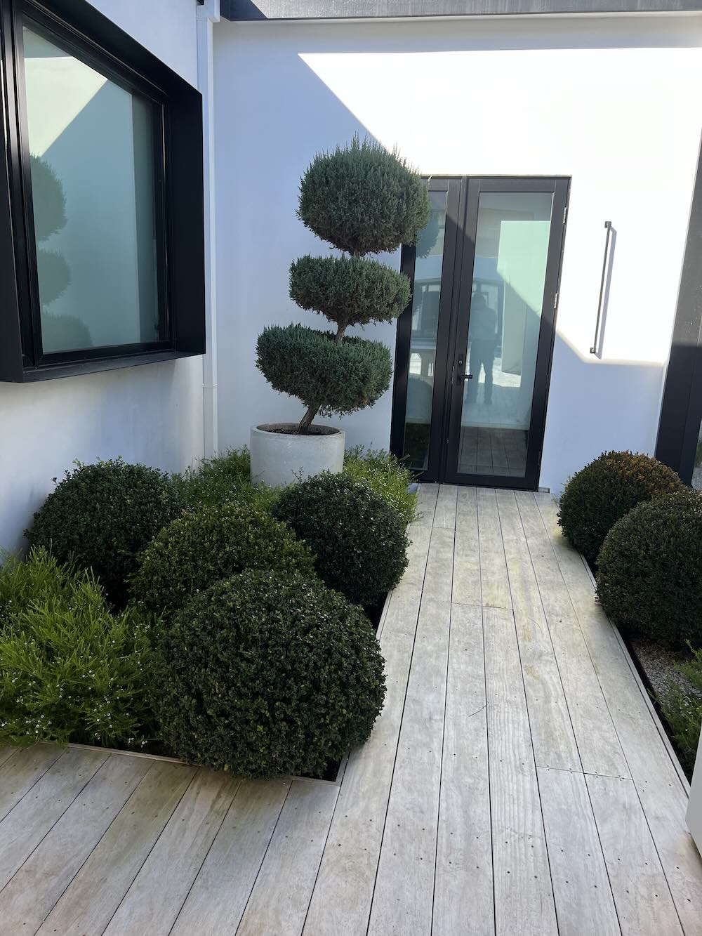 Professionally maintained commercial landscape with manicured shrubs in Sonoma County