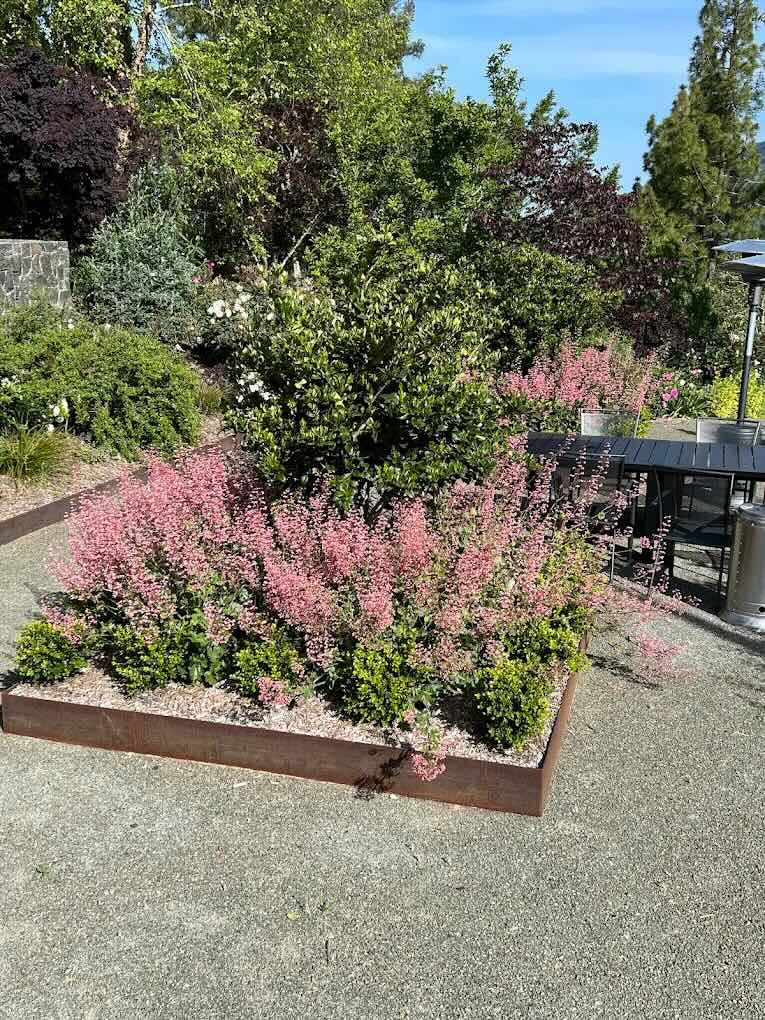 Weekly property maintenance — Wine Country Landscaping