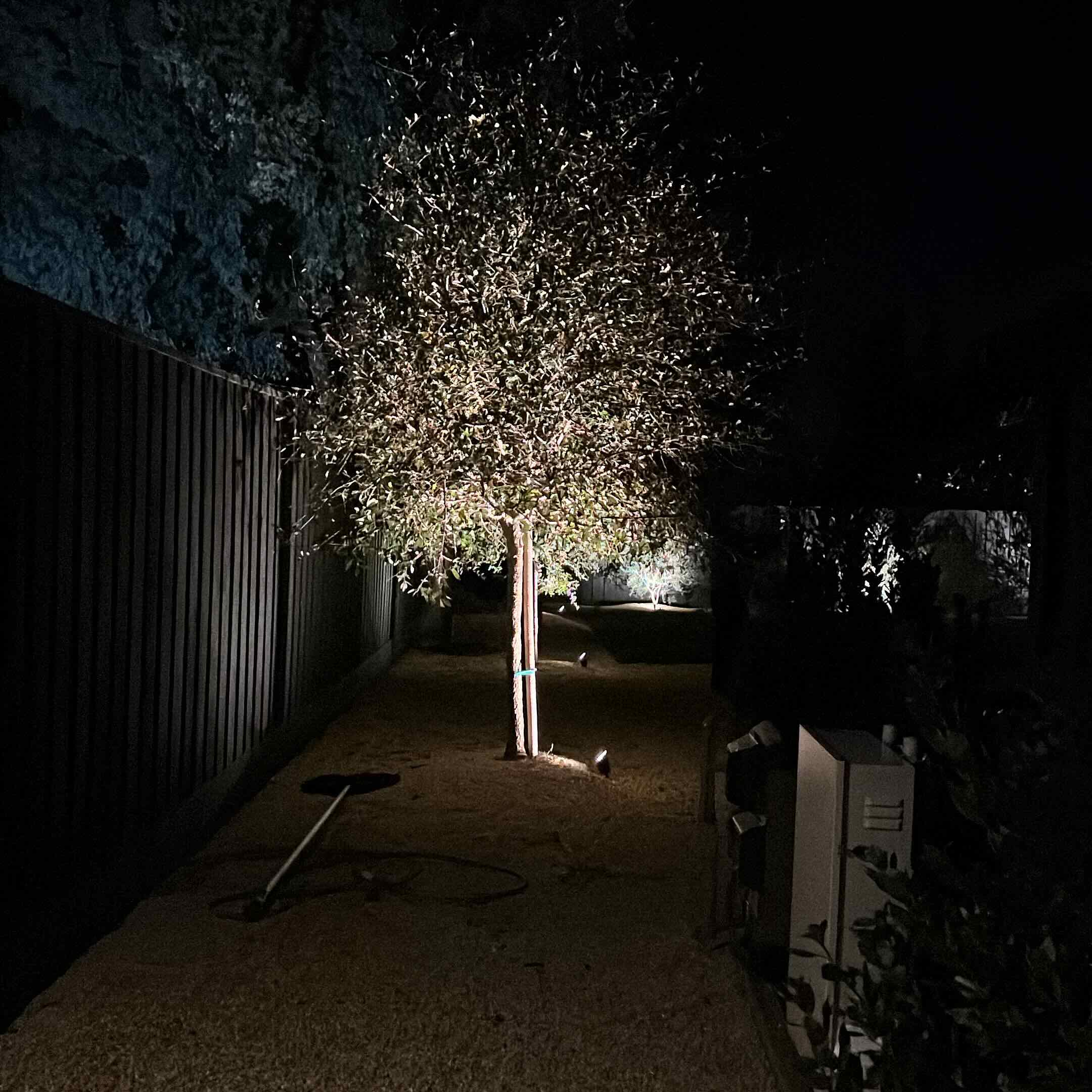 Estate path lighting installation — Wine Country Landscaping