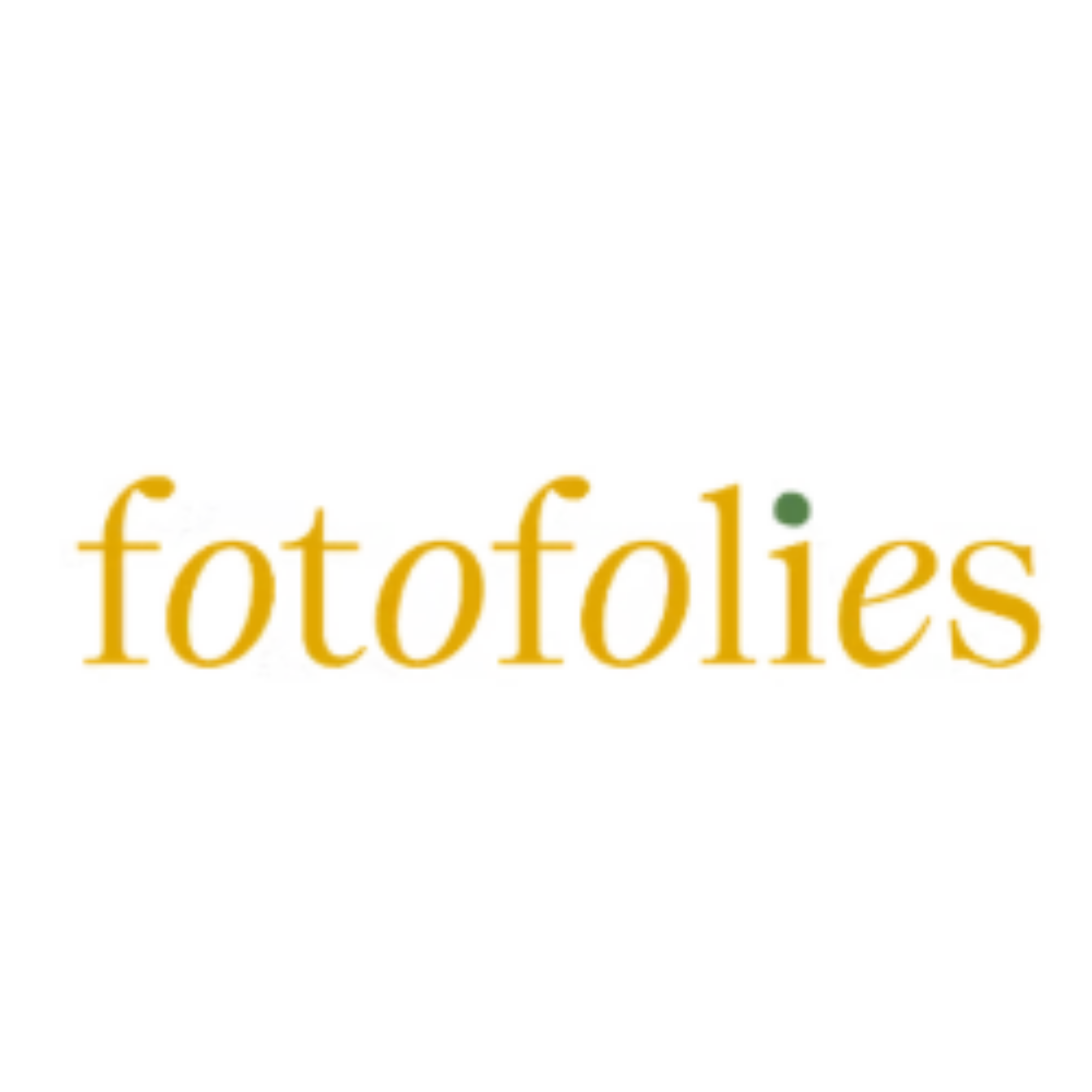 Liesbeth De Schamphelaere business logo