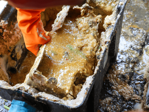 Grease Trap Cleaning in Plant City, FL