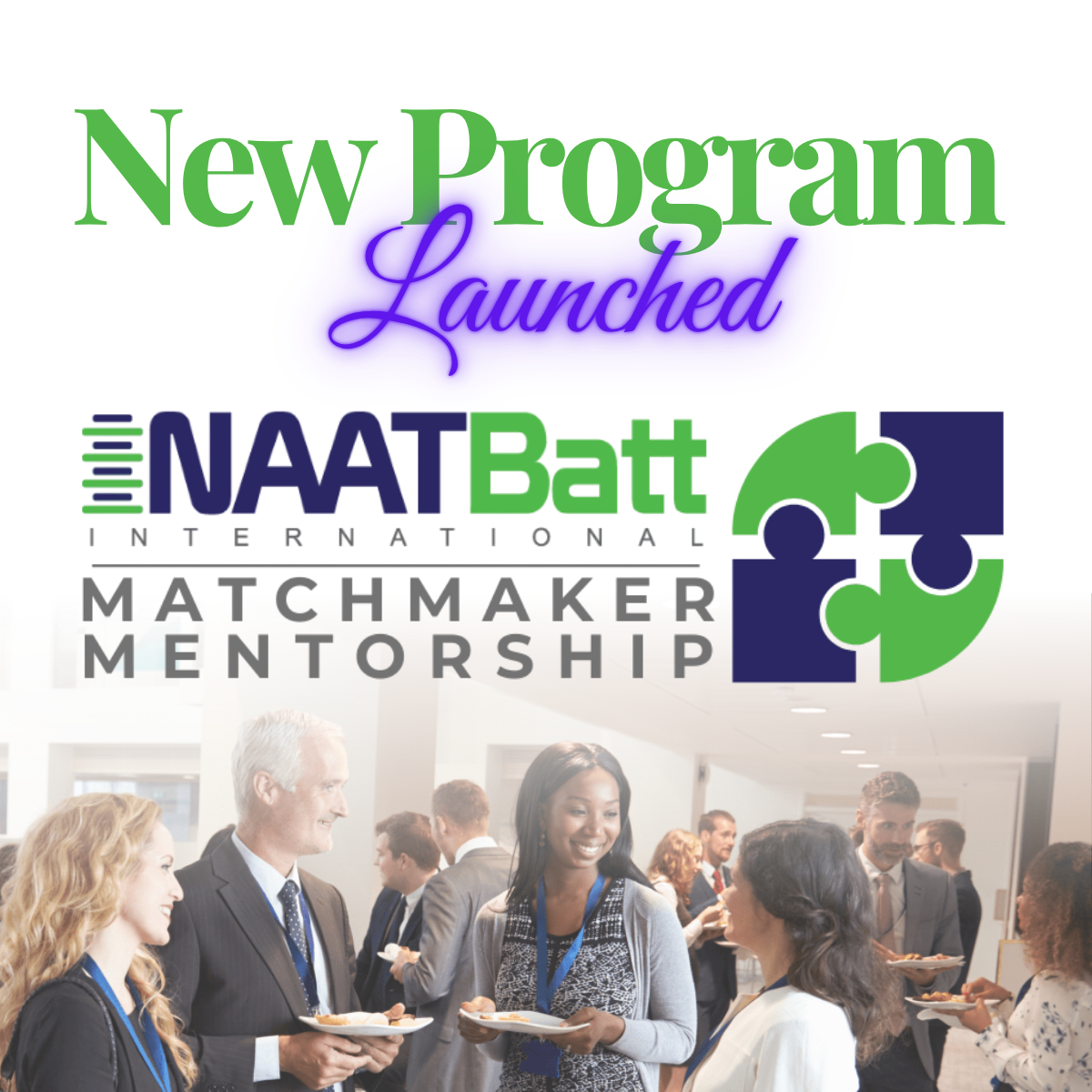 New program launched, the NAATBatt Matchmaker Mentorship