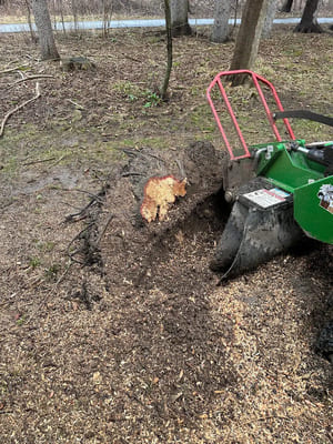 {{ custom_values.service_3 }} in {{custom_values.area_3})