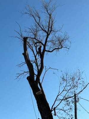 {{ custom_values.service_2 }} in {{custom_values.area_2})