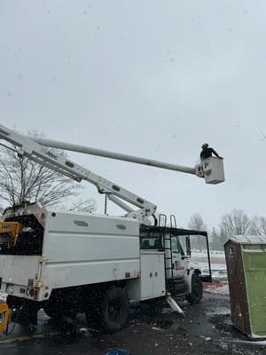 Tree Trimming in Orchard Park