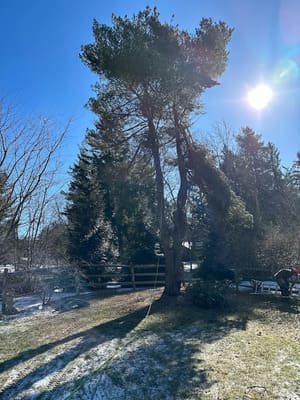 {{ custom_values.service_1 }} in {{custom_values.area_2})