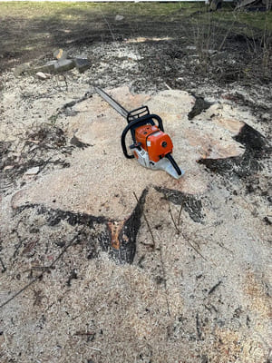 {{ custom_values.service_3 }} in {{custom_values.area_2})