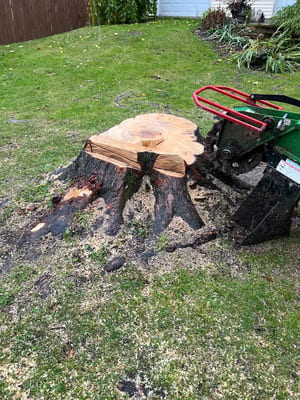 {{ custom_values.service_3 }} in {{custom_values.area_3})