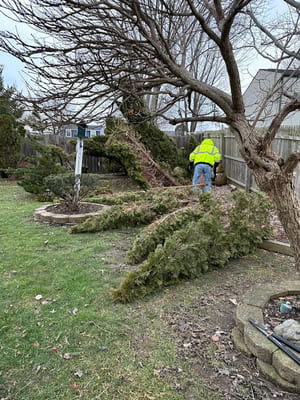 {{ custom_values.service_3 }} in {{custom_values.area_2})