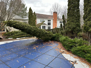 {{ custom_values.service_3 }} in {{custom_values.area_3})