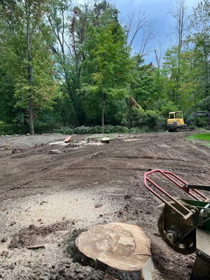 {{ custom_values.service_3 }} in {{custom_values.area_3})