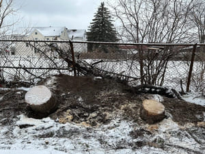 {{ custom_values.service_3 }} in {{custom_values.area_2})