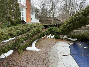 {{ custom_values.service_3 }} in {{custom_values.area_3})