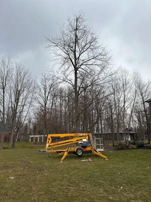 {{ custom_values.service_3 }} in {{custom_values.area_3})