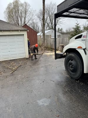 {{ custom_values.service_2 }} in {{custom_values.area_2})