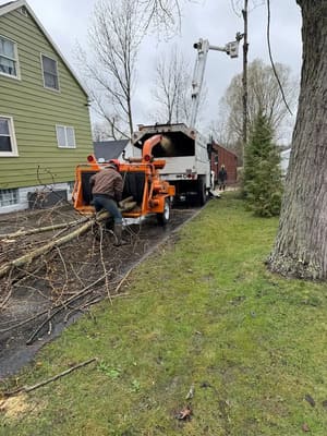 {{ custom_values.service_2 }} in {{custom_values.area_3})