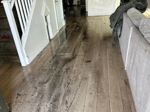 A wooden plank floor with visible water damage and debris next to a white staircase and a beige sofa.
