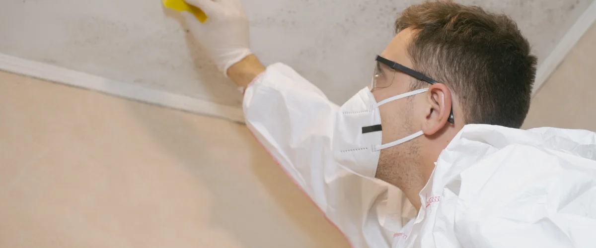 A man in protective gear, including a mask and safety glasses, cleaning mold from a ceiling with a yellow sponge.