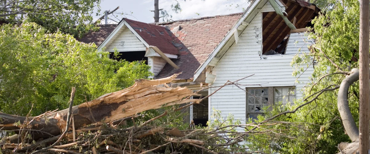 A house severely damaged by a fallen tree, with a broken roof, shattered windows, and debris scattered around. A house severely damaged by a fallen tree, with a broken roof, shattered windows, and debris scattered around.