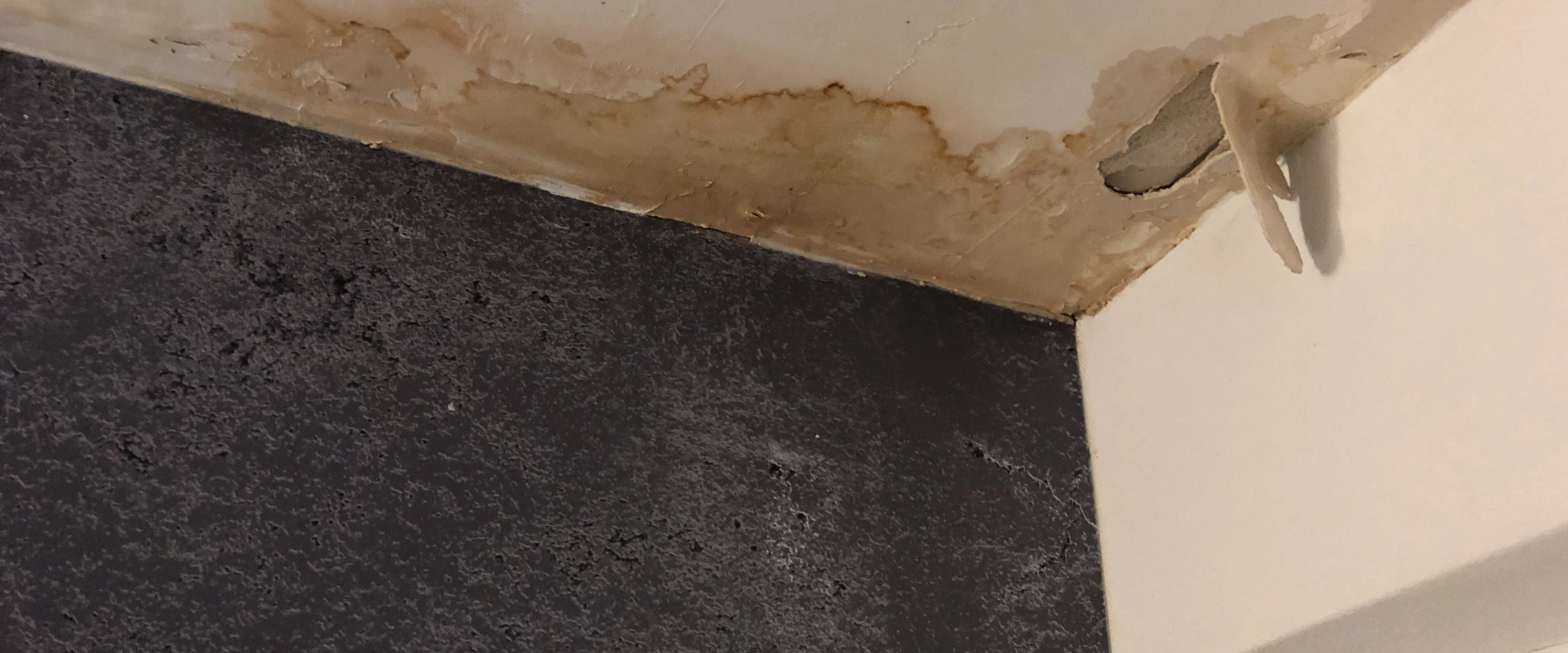 A close-up view of severe water damage in a room corner, showing brown stains, peeling paint on the ceiling, and a dark textured wall.