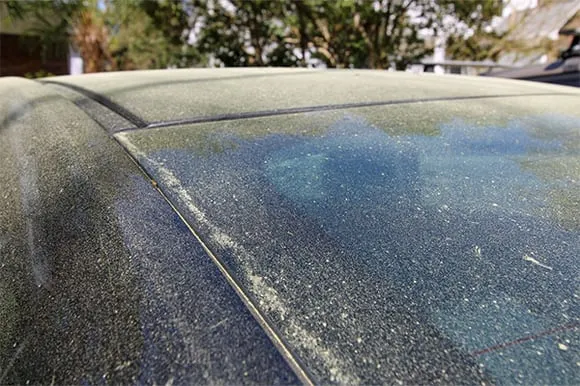 Pollen on vehicles around lake norman nc 