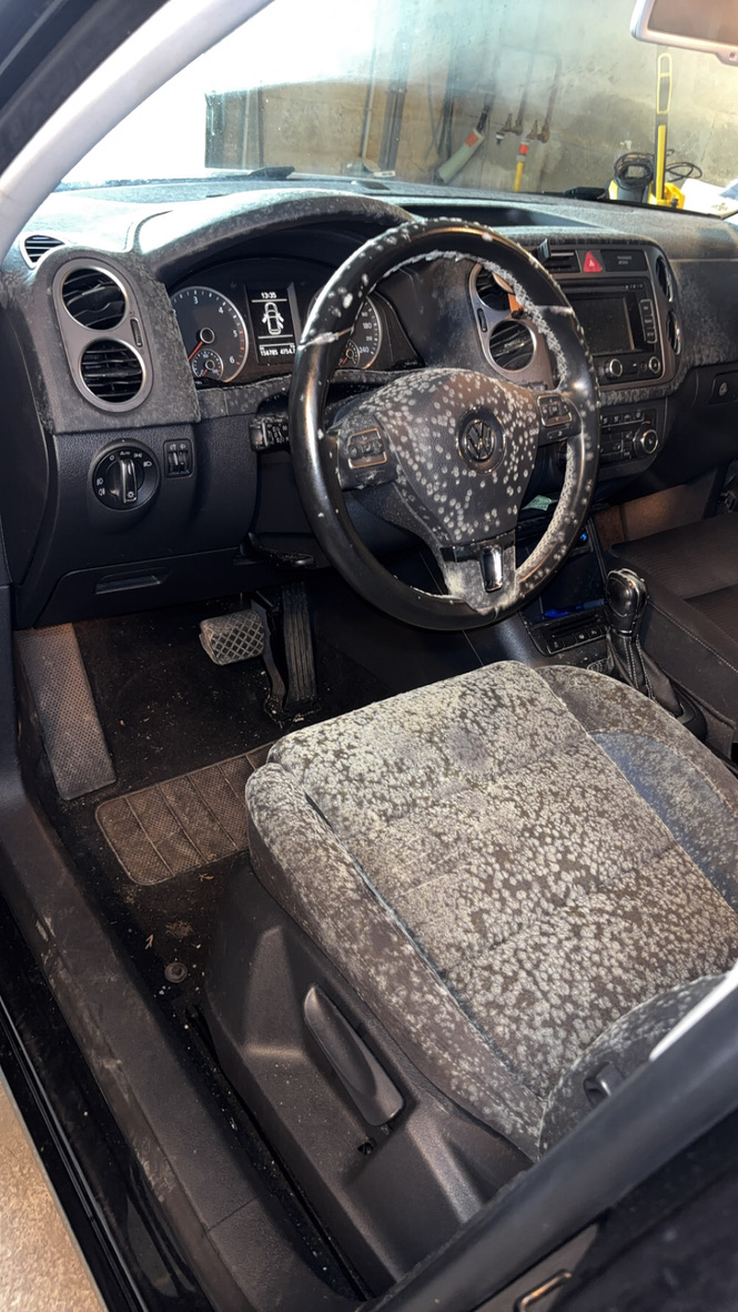 Habitacle Volkswagen présentant des moisissures avant une remise en état spécifique par IKOVIA