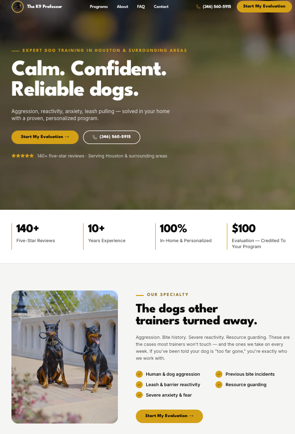 K9 Professor — site preview