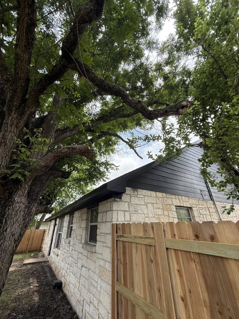 600 Garfield, Killeen, under its oak tree