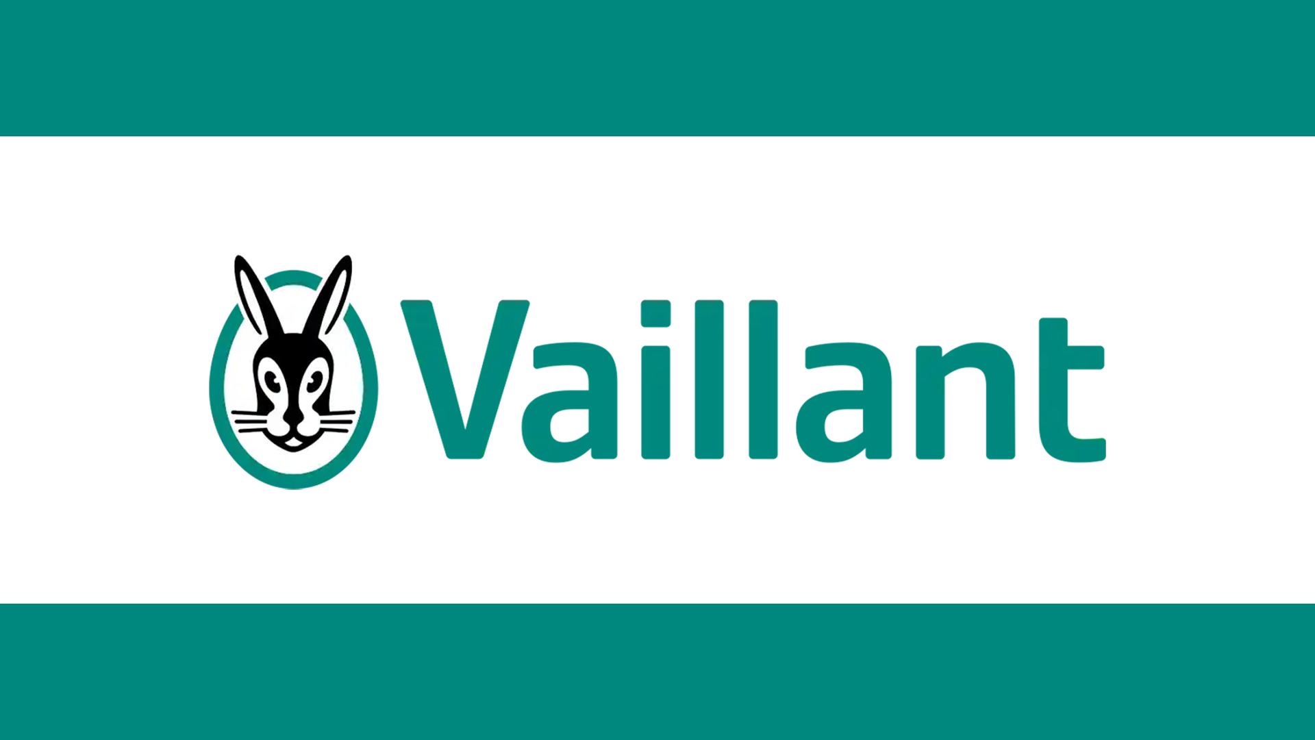 Vaillant thermenwartung