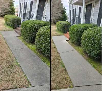 Driveway and concrete cleaning