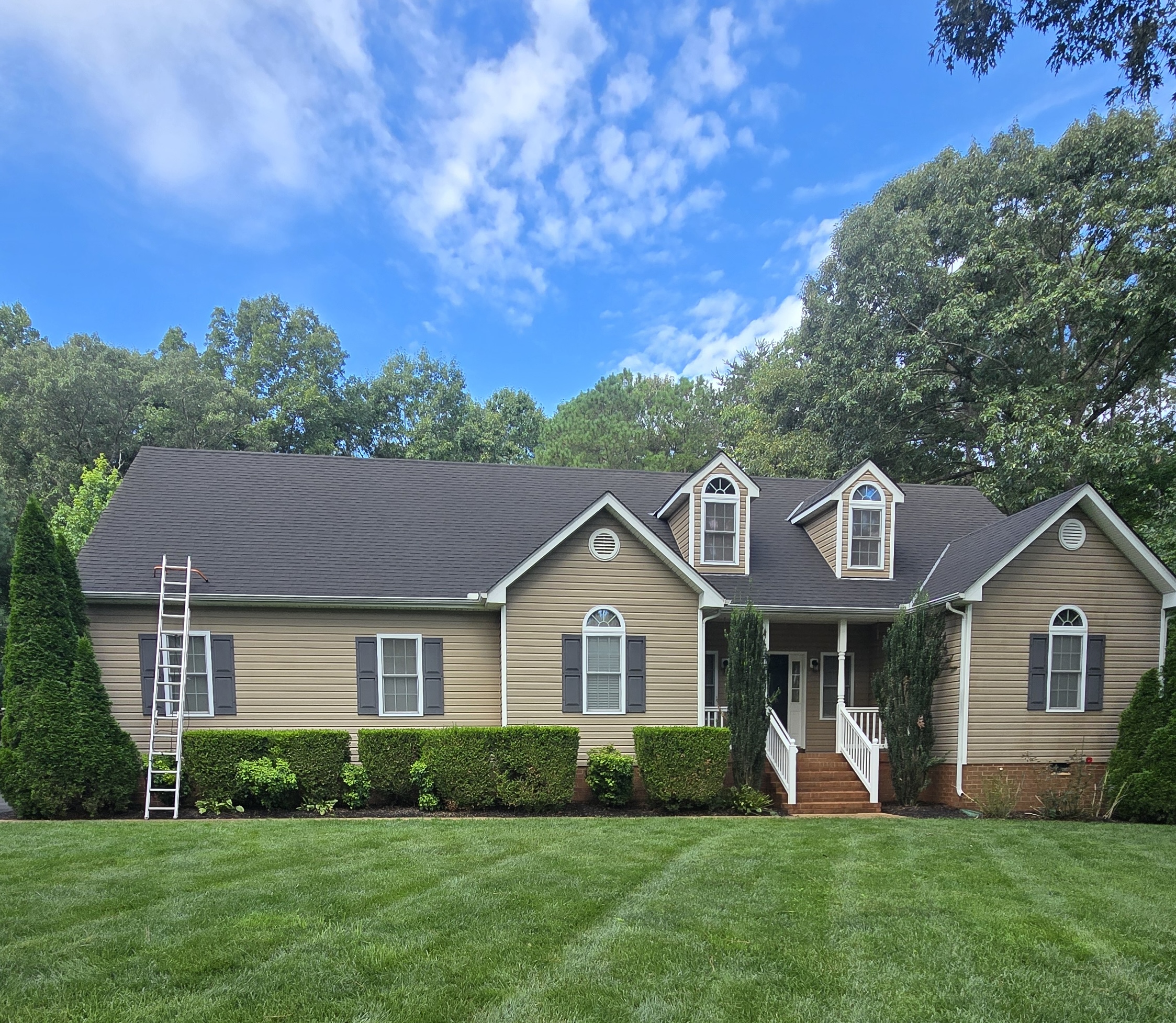 Roof shingles after rejuvenation treatment