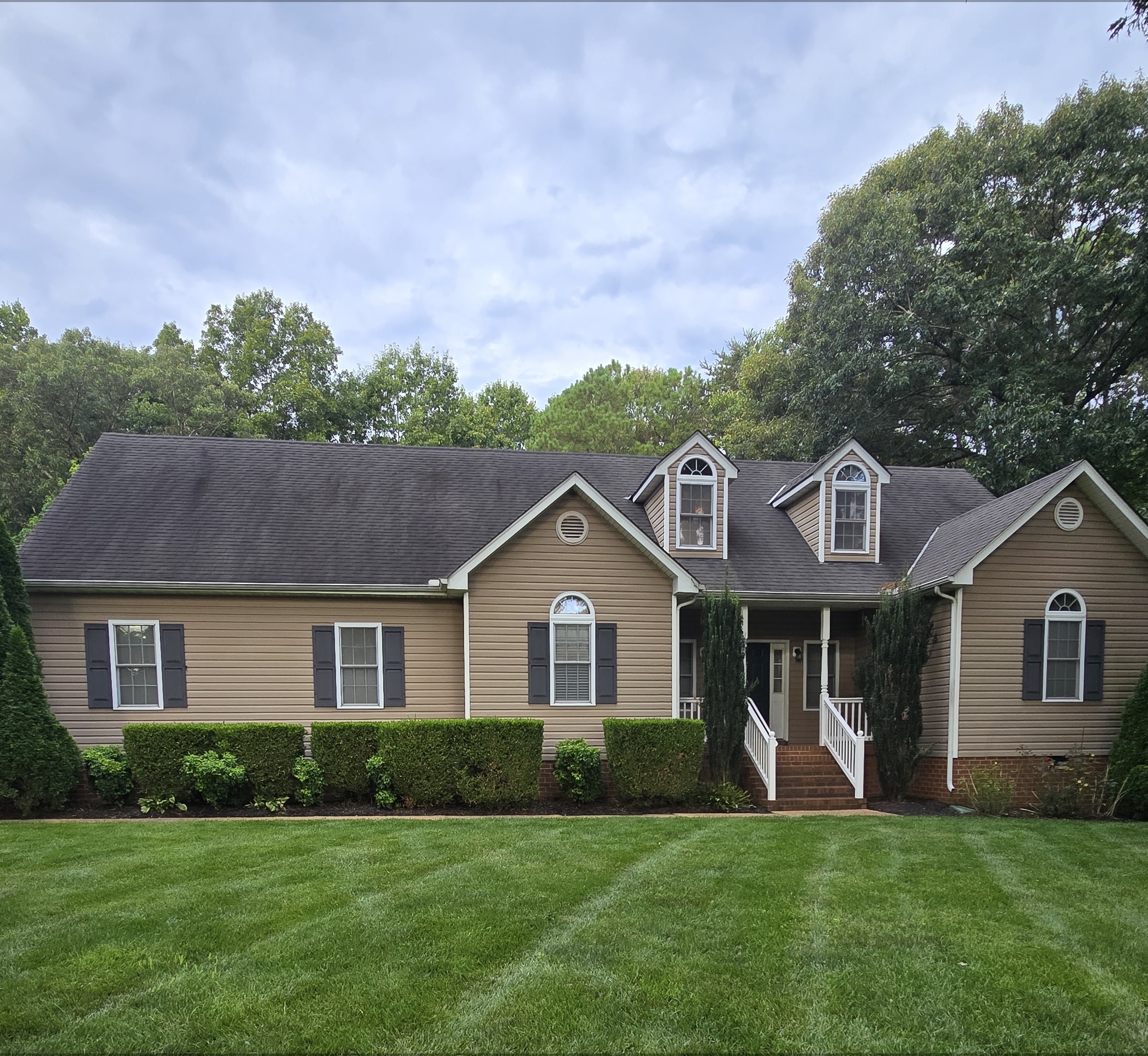 Roof shingles before rejuvenation treatment