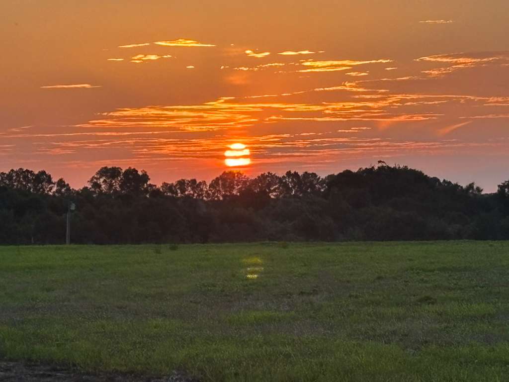 Farm 7