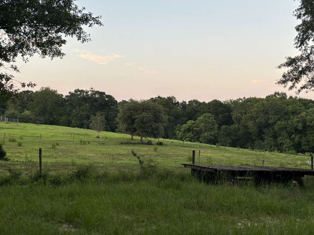 Farm 3