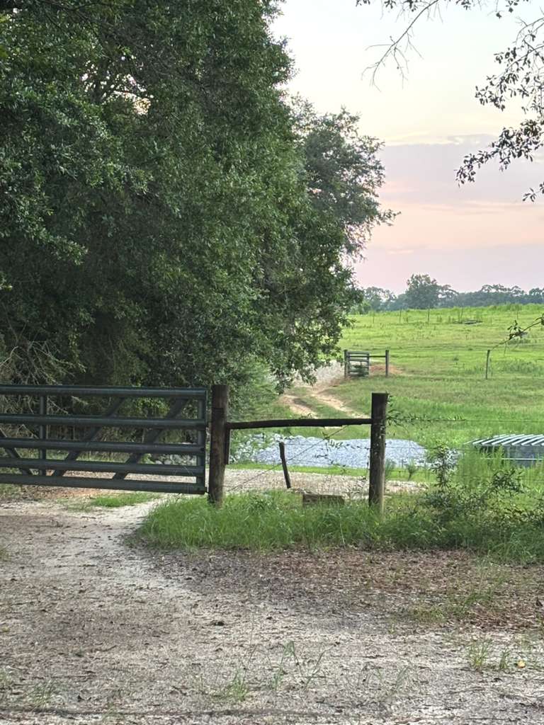 Farm 2