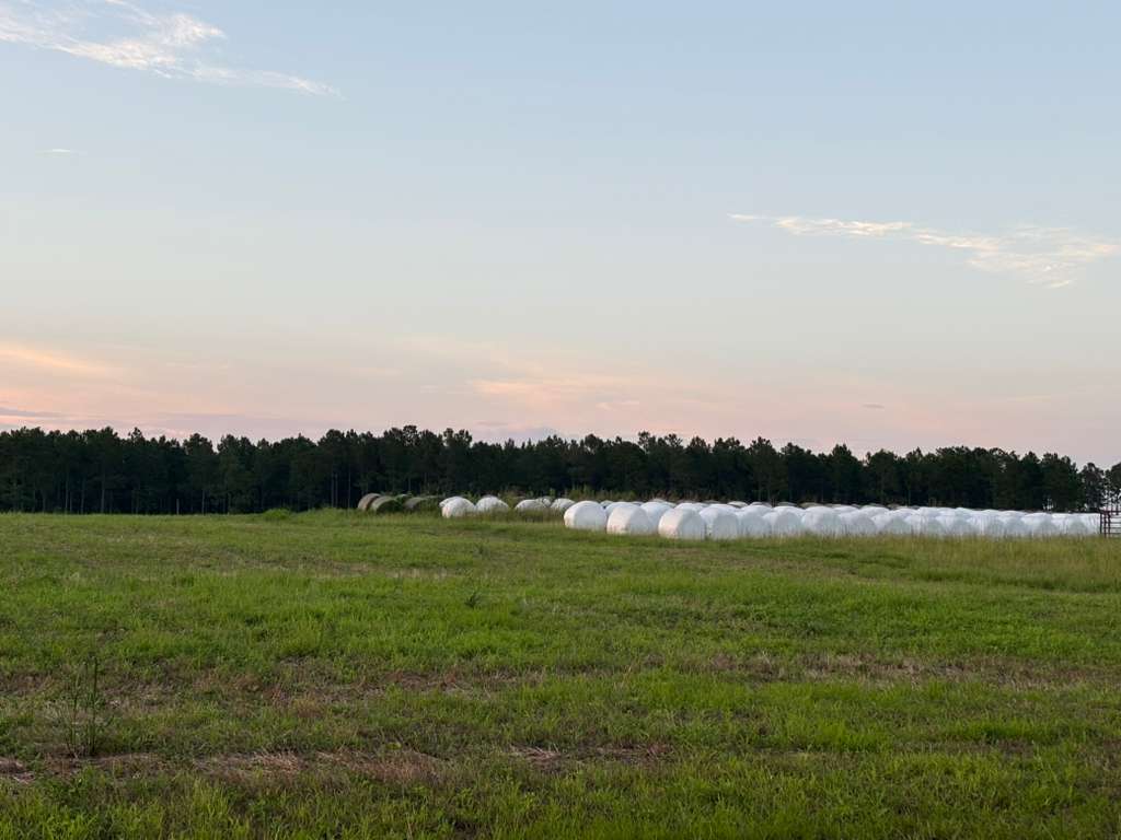 Farm 8