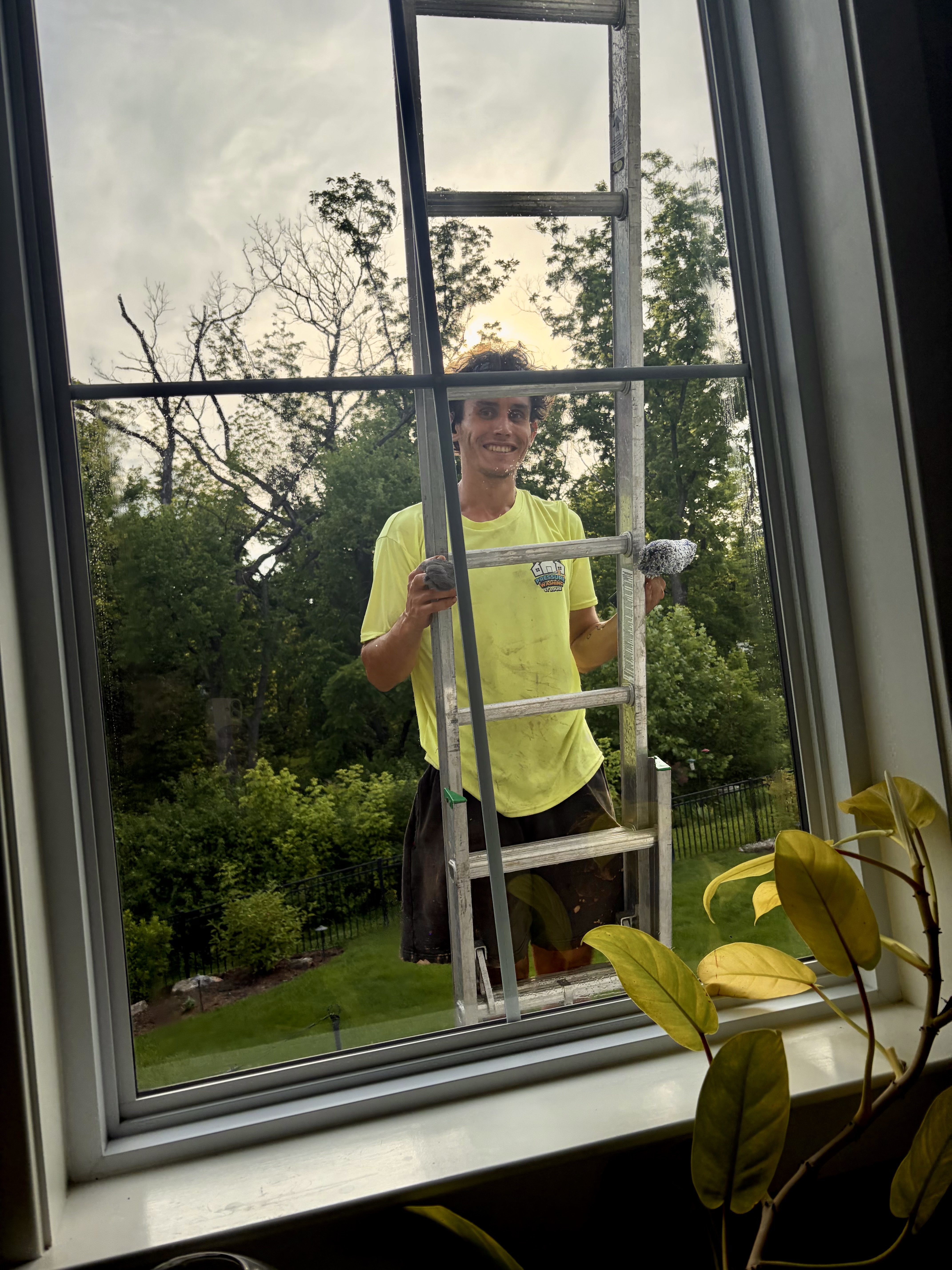 Window screen cleaning St. Louis