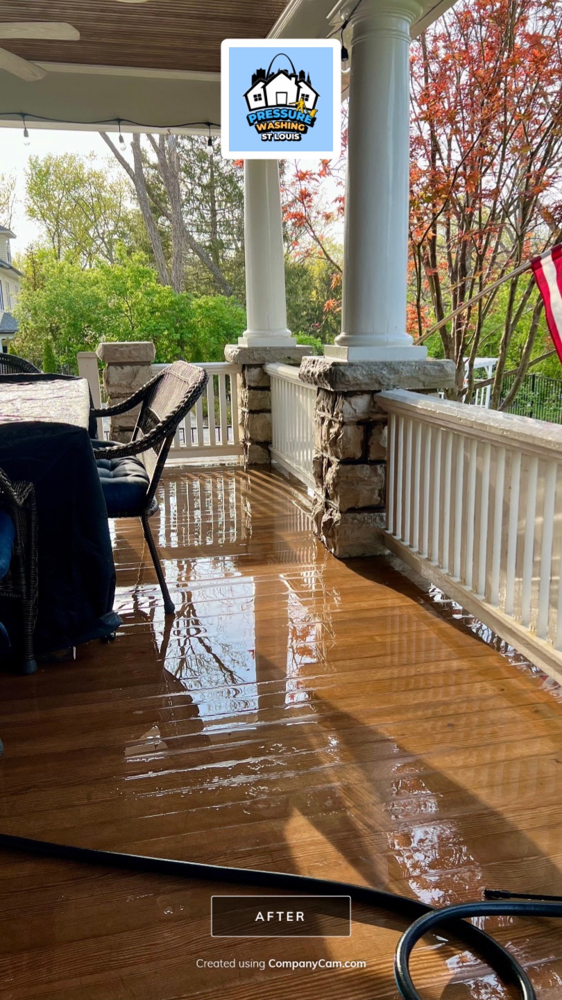House soft washing St. Louis