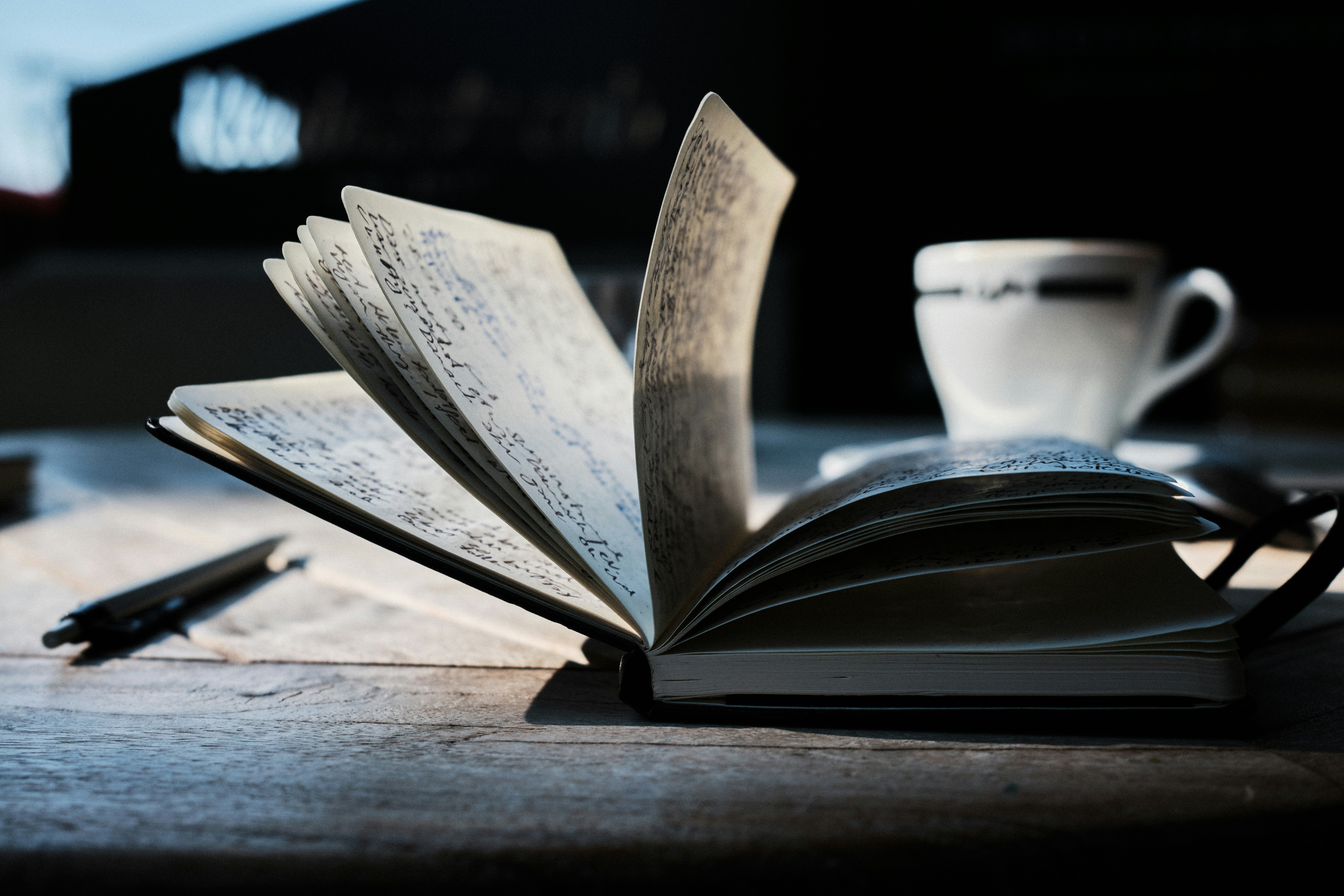 Nicole Whisler Edits Novel Writing Book Coaching Fantasy Writers