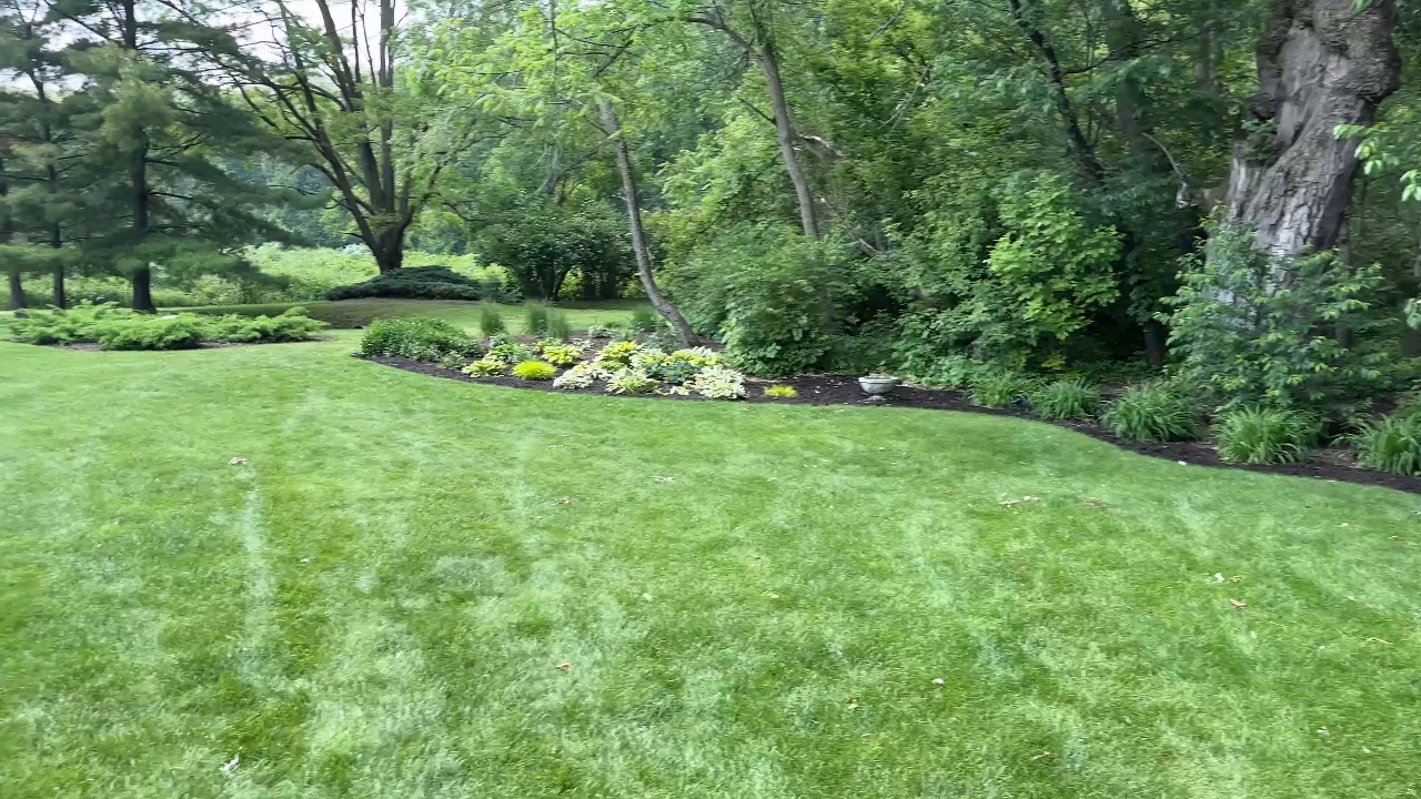 Campos Landscape project 9